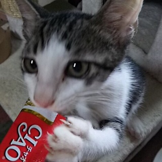 ボクと添い寝してくれませんか？