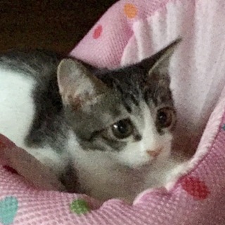 溢れる瞳のルナちゃん…3ヶ月