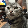 はっぴーひっぴー