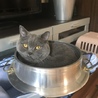 やまああああくみ