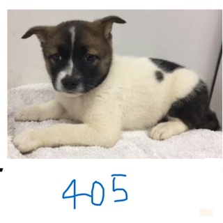 引き出されました。