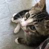 の写真