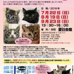 「出られそうな里親会。」サムネイル1