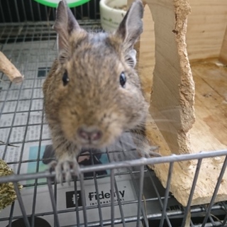 ありがとうございました！