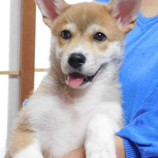 家族ができました( ≧∀≦)