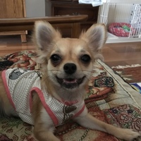 ノアちゃん