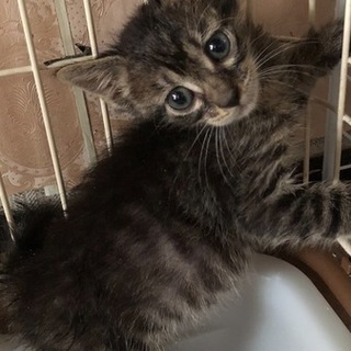 元気いっぱい！　ジャンくん