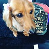 美容院行って可愛く変身♡