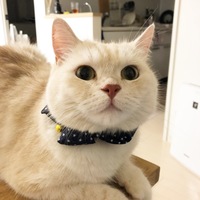 ふうた