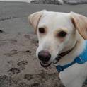 美人で優しいラリーさん