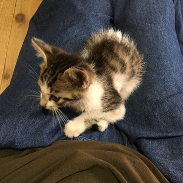 来たばかりのとき。くっついて離れませんでした。