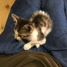 来たばかりのとき。くっついて離れませんでした。