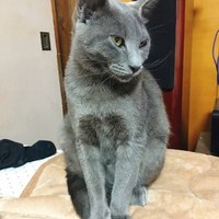 ブブ