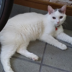 「家族写真」サムネイル2