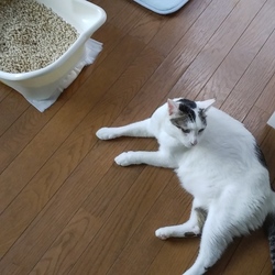 「家族写真」サムネイル3