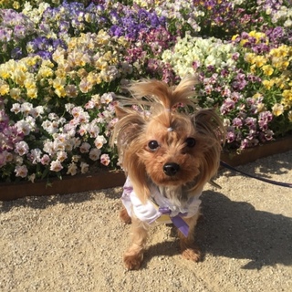 新しい家族が決まりました！