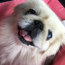 みんな 笑顔で (๑>◡<๑)