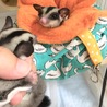 おうちの子とご対面
