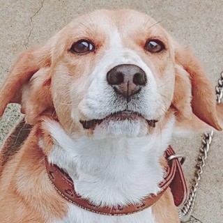 素敵な方に出会えました(o^^o)