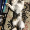 の写真