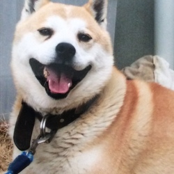 みんな笑顔で❤(ӦｖӦ｡)