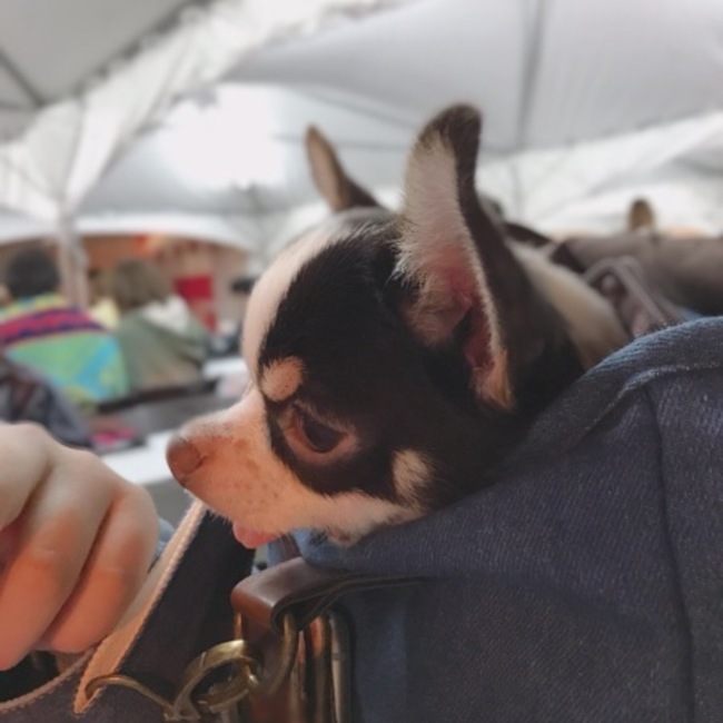 すむちのカバー写真