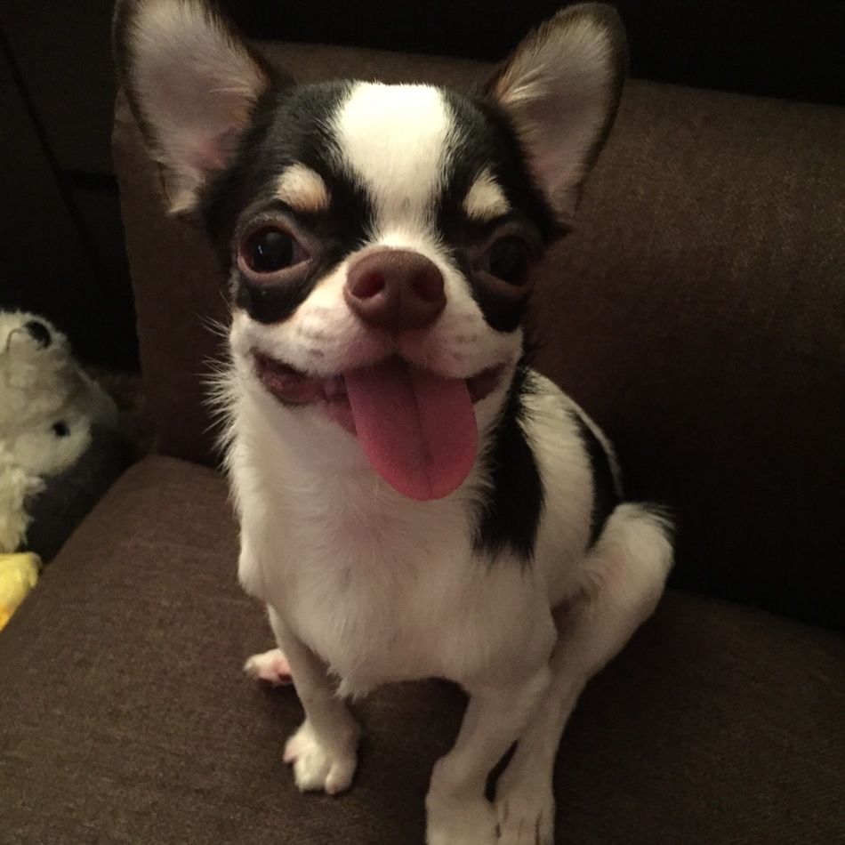 すむちのカバー写真