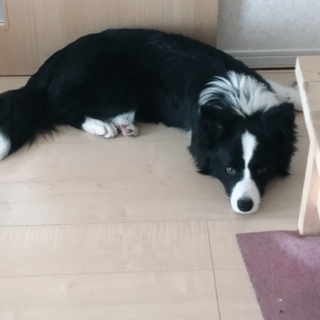 トライアル予定の為一旦募集を停止させていただきます