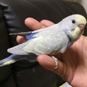   たくさんの応募ありがとうございます！