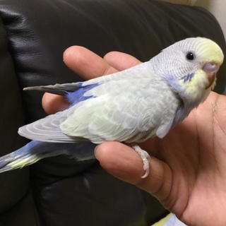   たくさんの応募ありがとうございます！