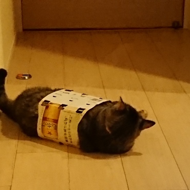 おや？あんなところに美味しい飲み物が転がっているぞ！