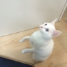  さん