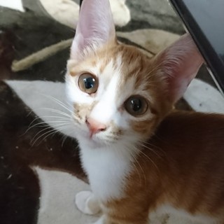 遊ぶの大好き☆美人の甘えん坊☆