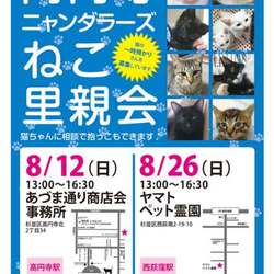 高円寺ニャンダラーズ ねこ里親会
