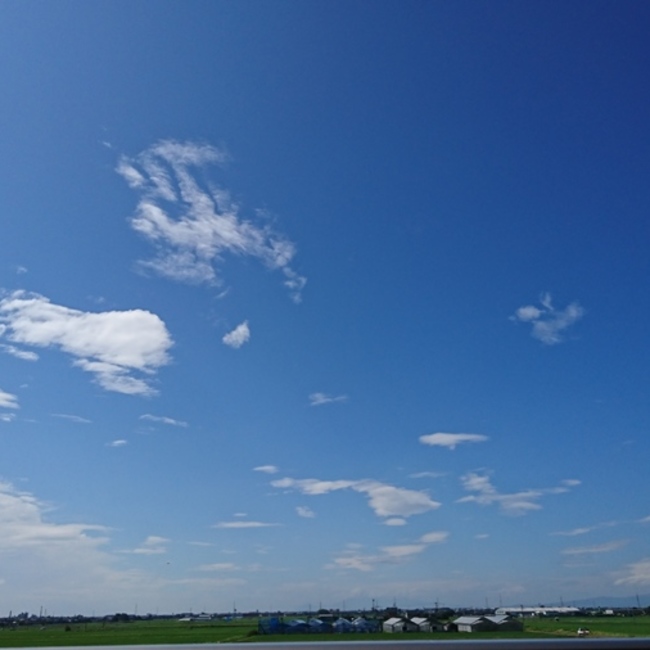 午後の紅茶れもんのカバー写真