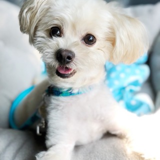 良いご縁に繋がりました。