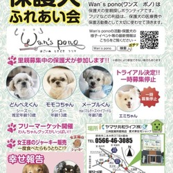 保護犬ふれあい会