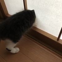 ゴロウ