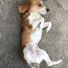 素敵な方に出会えました(o^^o) サムネイル2