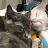 なかよし♡