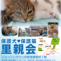 ジョンソンタウン里親会