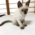 人懐っこくて元気です！