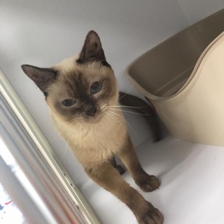 多数のご応募ありがとうございました