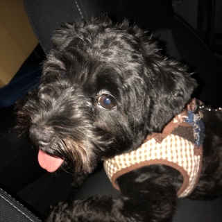 たくさんのご応募ありがとうございました