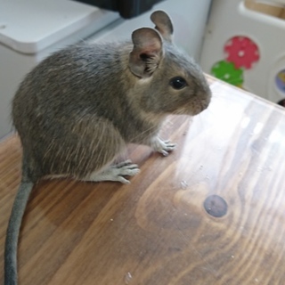 ありがとうございました！