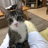 ぴかりの