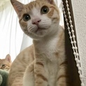 怖がりで優しいアグネスくんです！