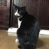 モコみ