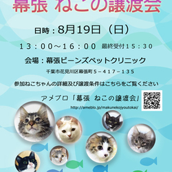 幕張 ねこの譲渡会
