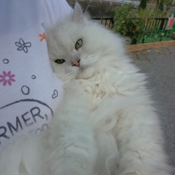 「あっつ～～！(￣。￣;)」サムネイル1